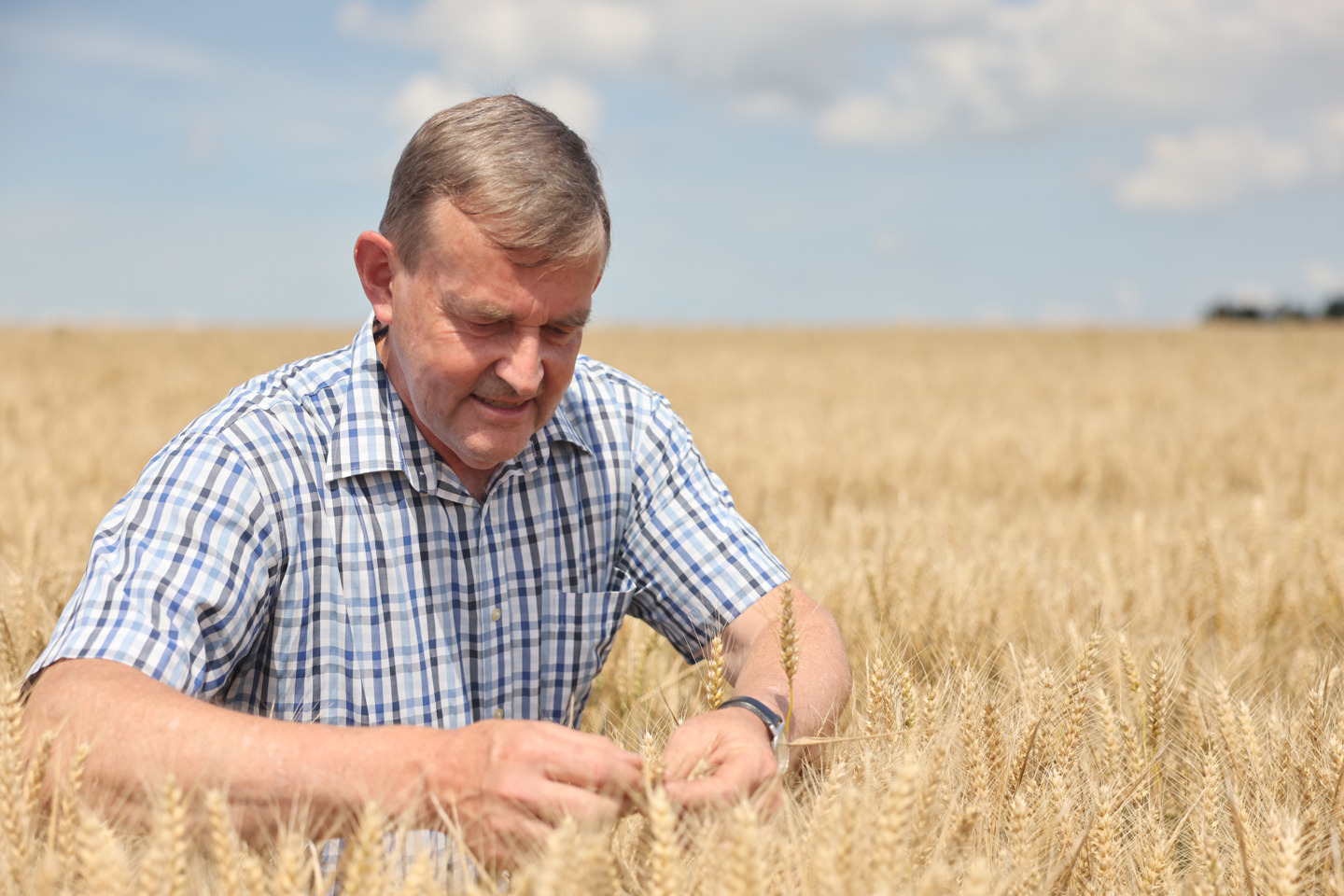 Delhaize and La Lorraine Bakery Group launch more sustainable bread range (in Dutch) 