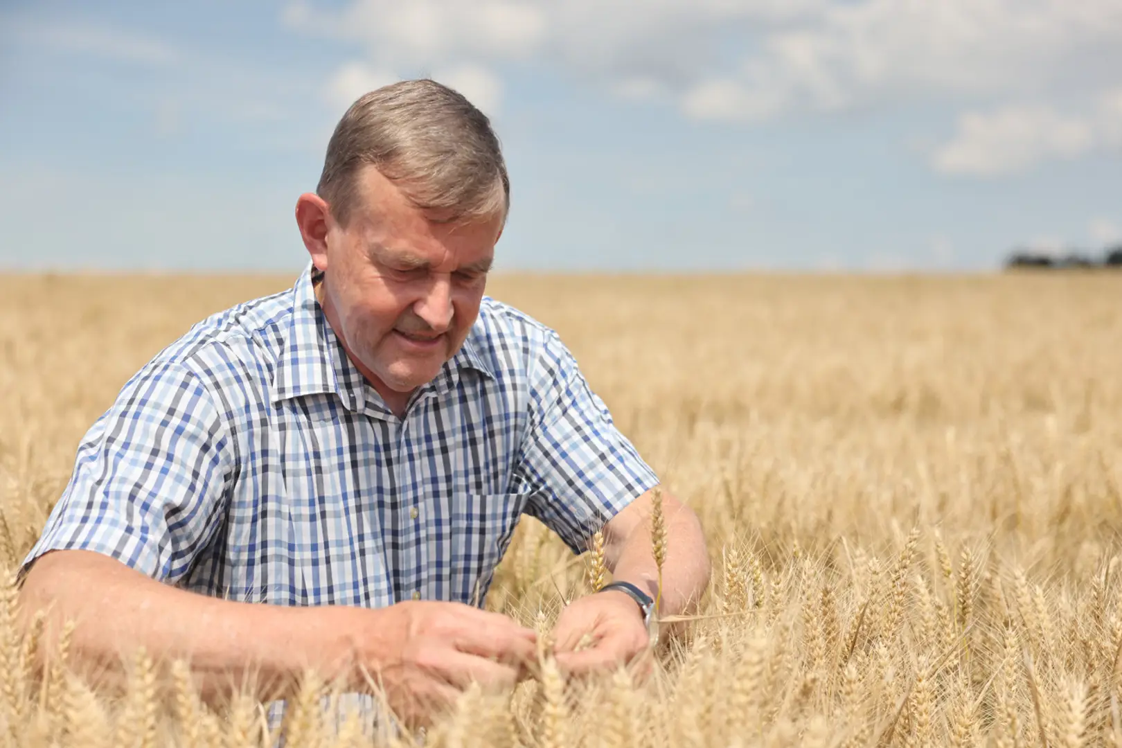 Delhaize and La Lorraine Bakery Group launch more sustainable bread range (in Dutch)