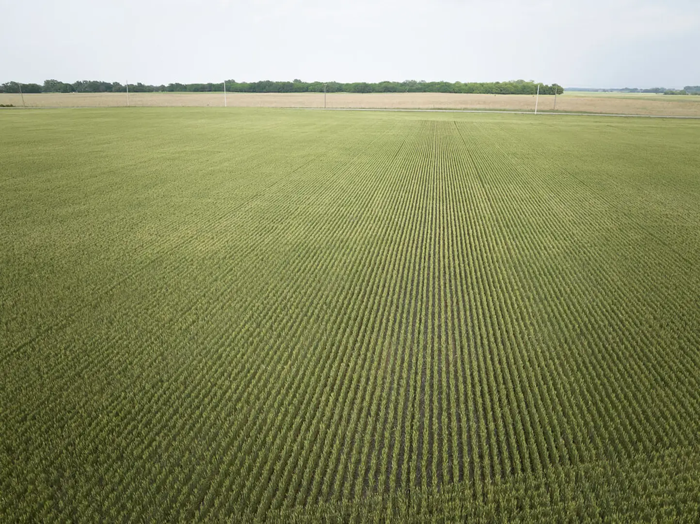 Ahold Delhaize USA and General Mills Collaborate to Decrease Value Chain Emissions