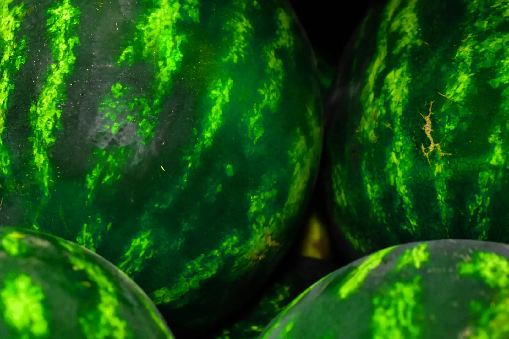 The GIANT Company and its customers raised $1.5 million to fight student food insecurity