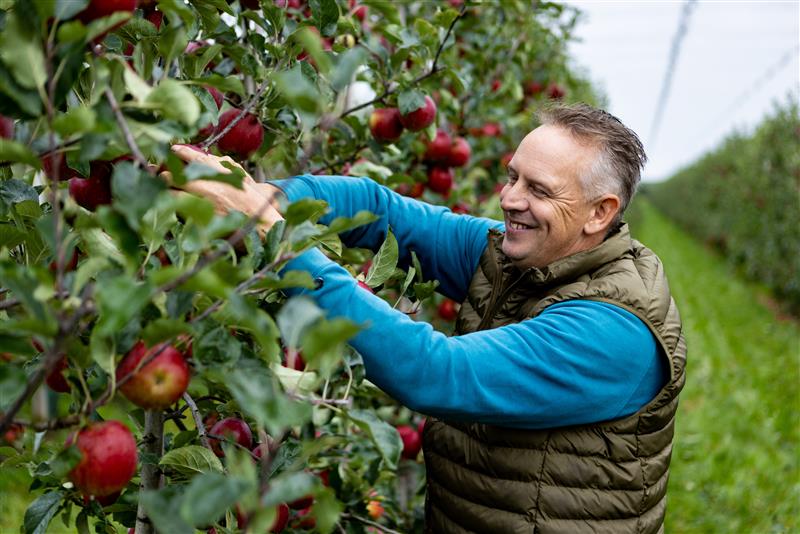 Ahold Delhaize European brands launch climate hubs 