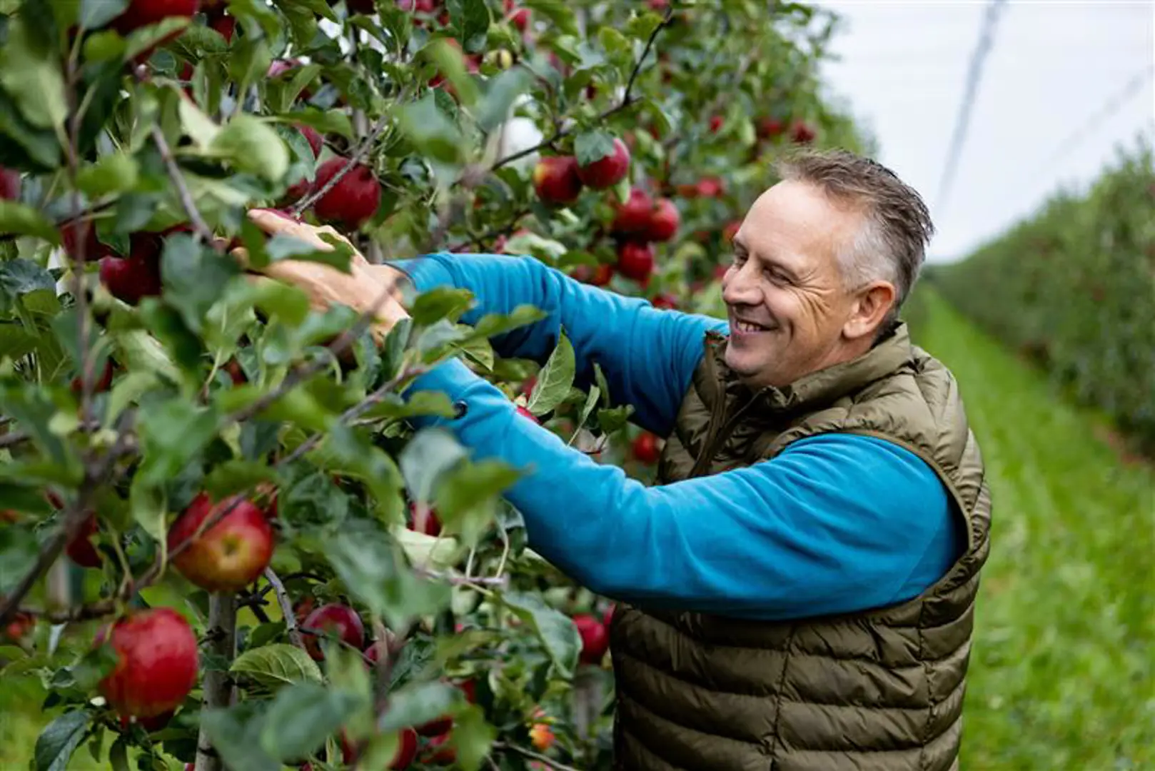 Ahold Delhaize European brands launch climate hubs