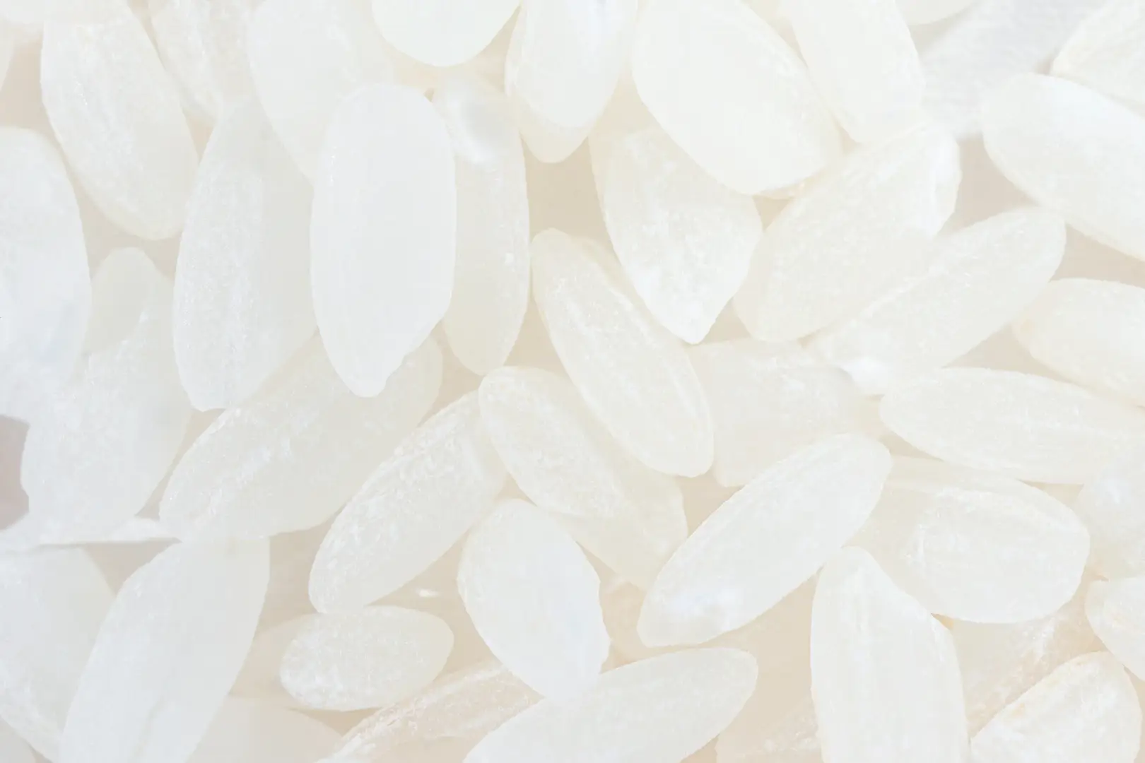 Ahold Delhaize launched Position on Human Rights