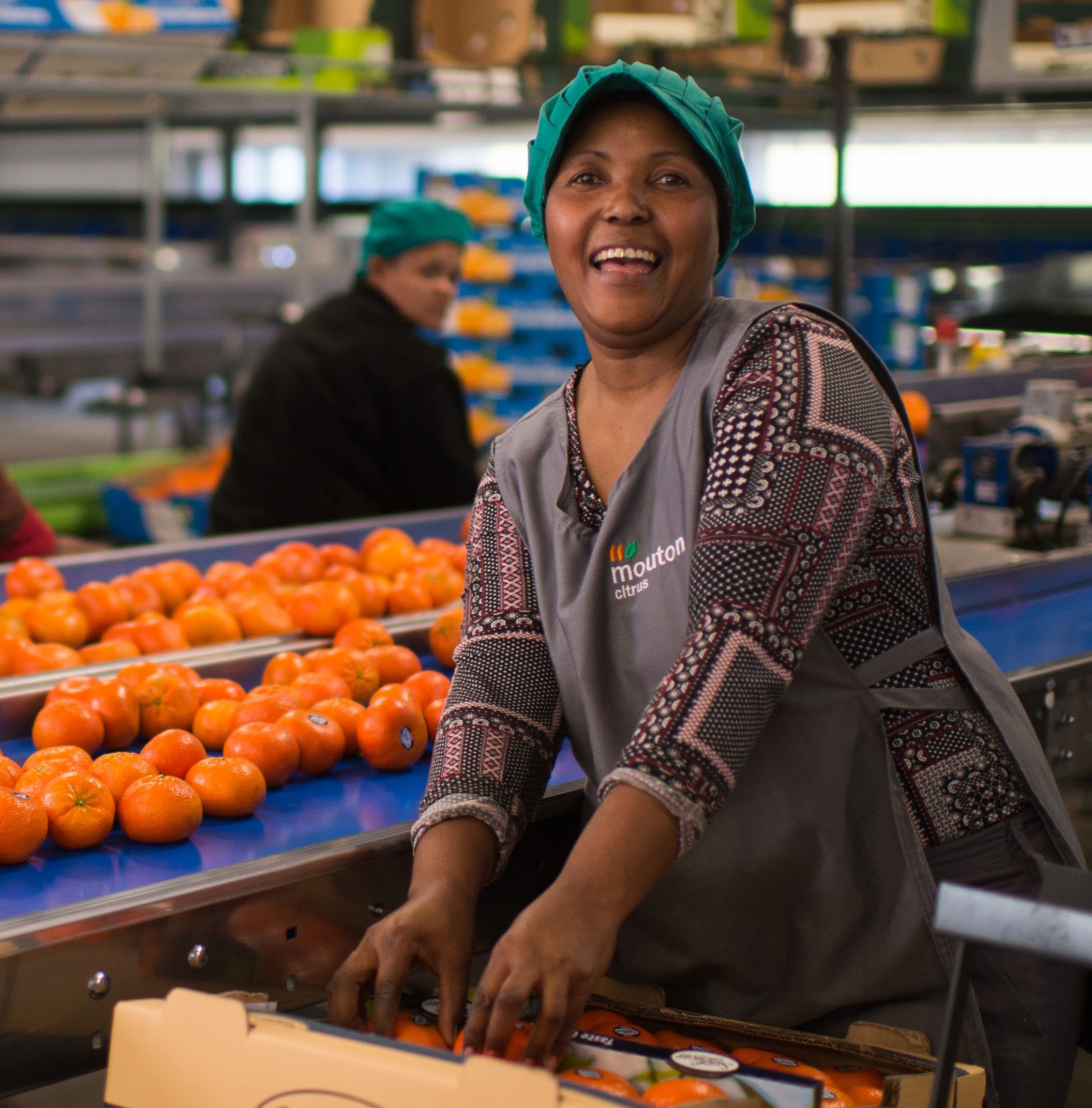 Albert Heijn introduces the Positive Produce for People and Planet Program (in Dutch) 