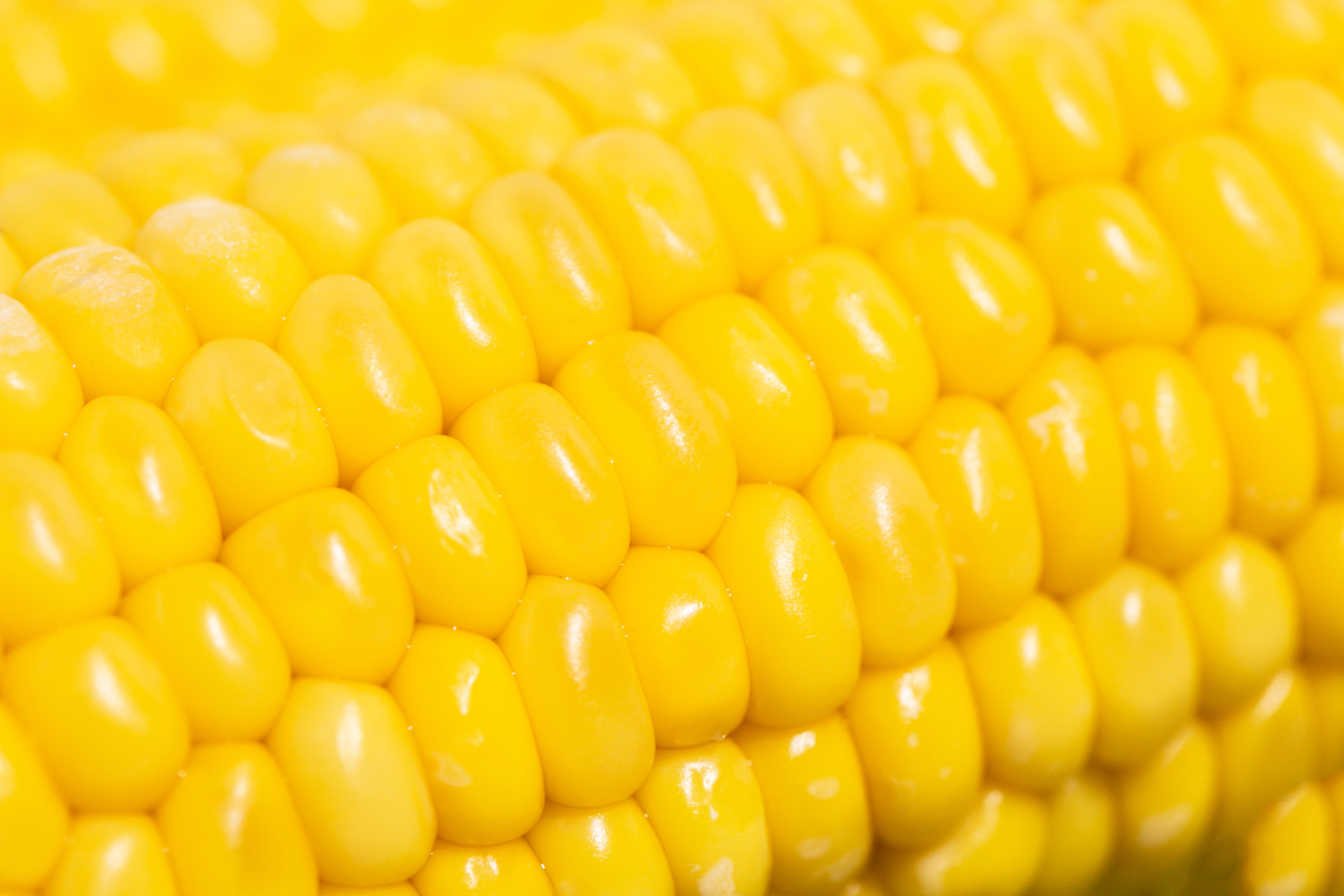 Ahold Delhaize USA, Kellanova, Bartlett Announce Farm-to-Shelf Regenerative Agriculture Pilot 