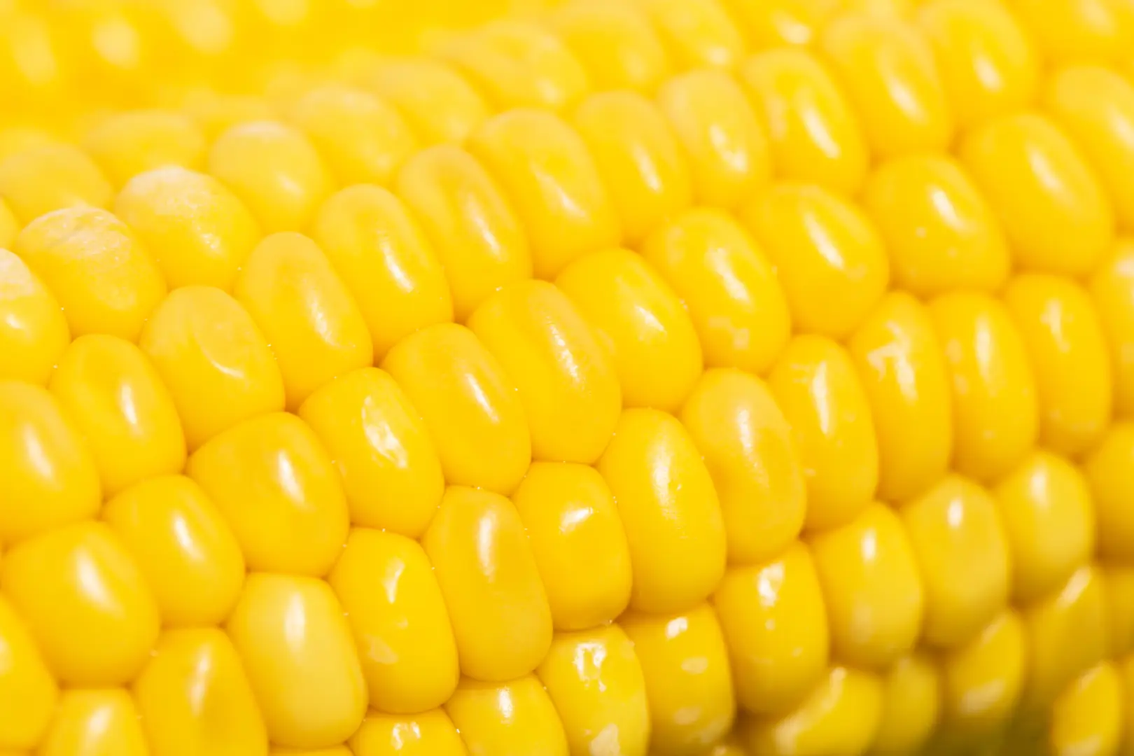 Ahold Delhaize USA, Kellanova, Bartlett Announce Farm-to-Shelf Regenerative Agriculture Pilot