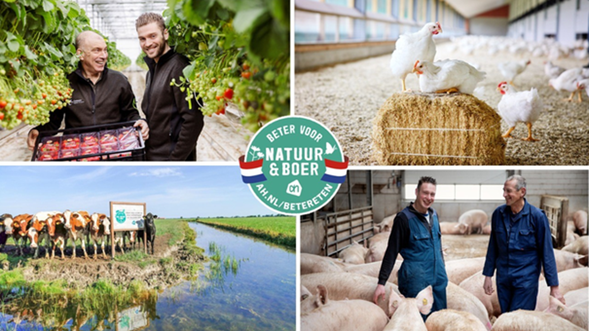 Albert Heijn welcomes third parties to its renowned Better for Nature & Farmer program 