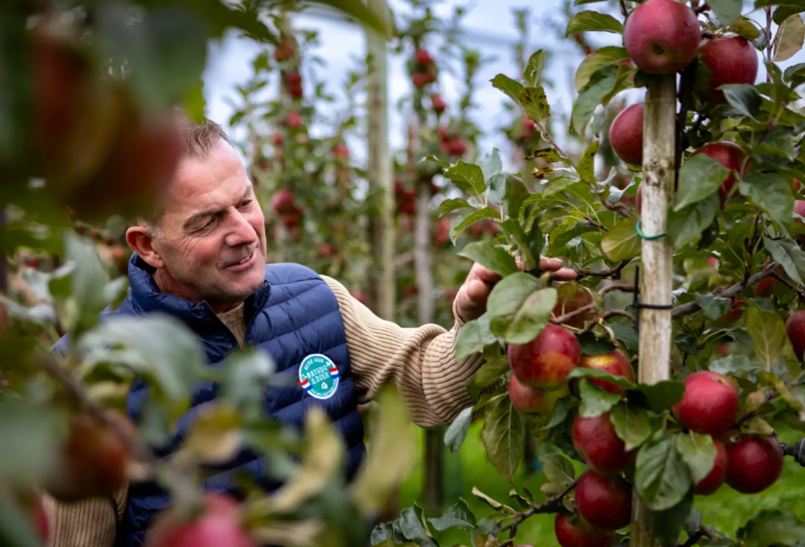 Ahold Delhaize partnered with suppliers and NGOs to reduce greenhouse gas emissions and support regenerative farming. 